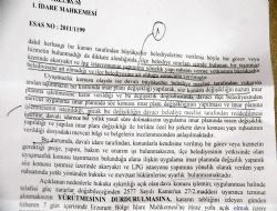 Ruhsat yetkisi Palandöken'in